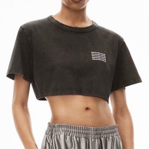 Alexanderwang crop tee in acid wash jersey size 4